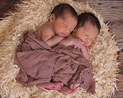 Two newborns asleep under a brown blanket.