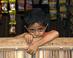 A young boy looks shyly over a wooden barrier.