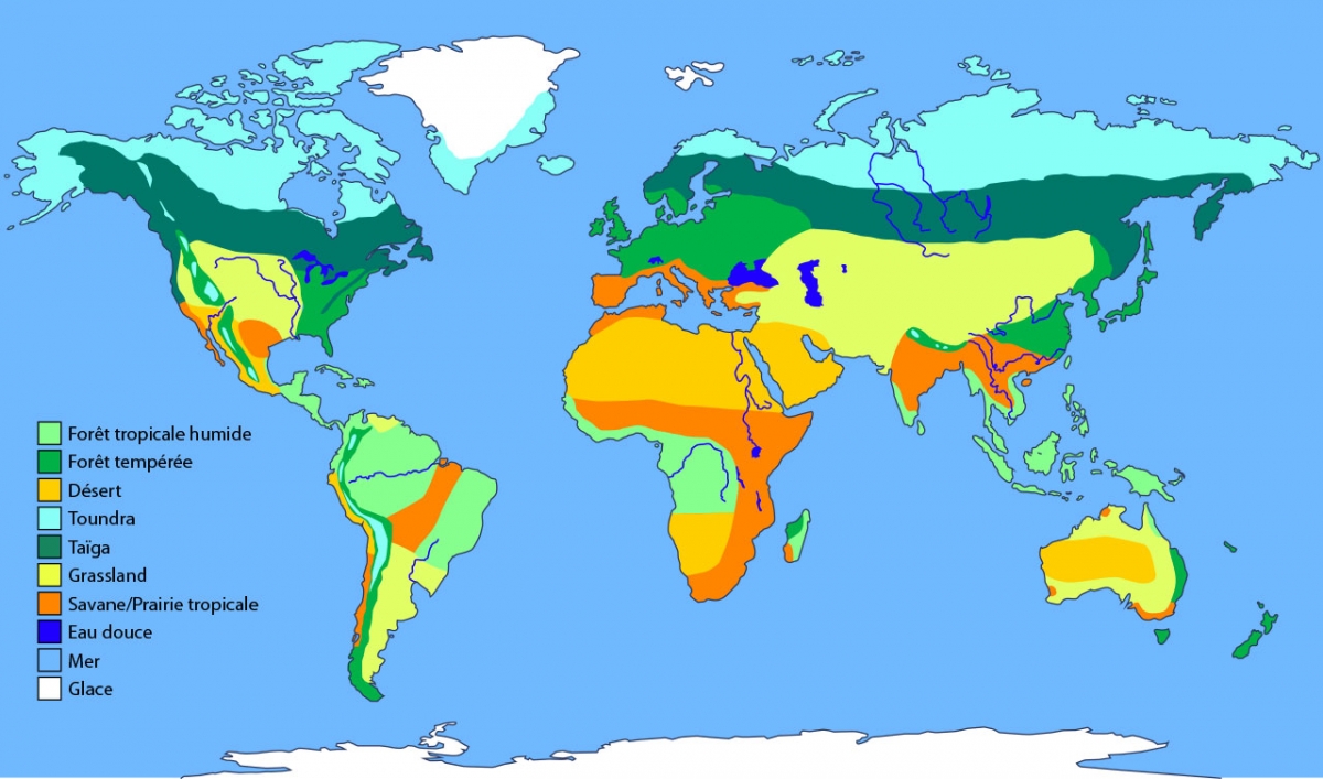 carte du monde desert Biomes du monde | Ask A Biologist