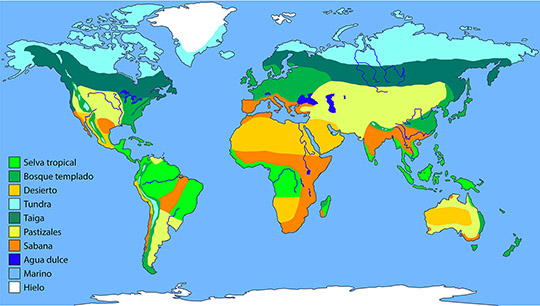 Mapas de biomas del mundo