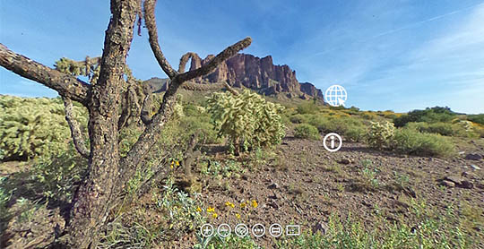 desert biome image link
