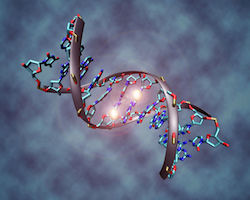 Illustration of DNA methylation