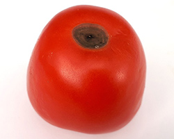 Tomato blossom end rot