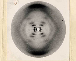 Rosalind Franklin's DNA Plate image