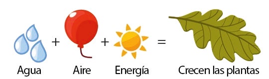 ¿De dónde proviene la masa de las plantas? Agua, aire, y energia