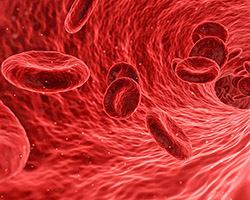 Illustration of red blood cells in a blood vessel