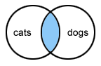cats and dogs