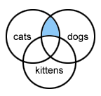 cats dogs kittens