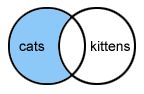 cats not kittens