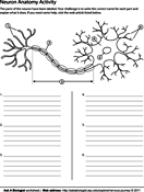 Neuron Coloring page image link