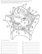Coloring Pages And Worksheets Ask A Biologist