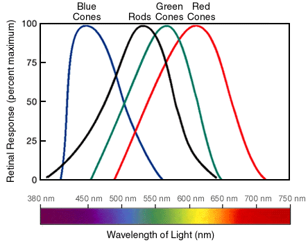 visible light wavelengths