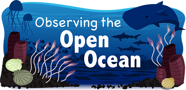 Deep Ocean Biome | Ask A Biologist