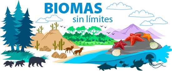 clipart de bioma de selva tropical