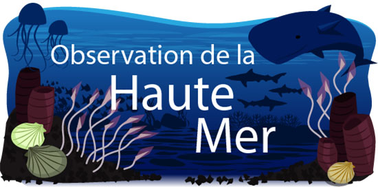 Observation de la Haute Mer