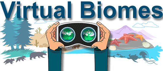 Virtual biomes illustration, biomes with goggles