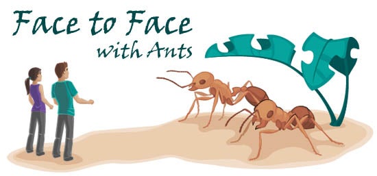 Ant Cartoon Sex - Ant Anatomy | Ask A Biologist