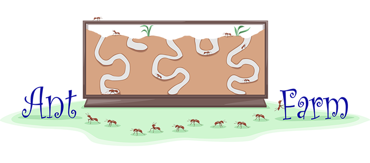 How To Start A Ant Farm