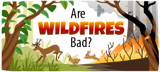 Are wildfires bad? This story illustration shows a deer and two rabbits running away from a wildfire