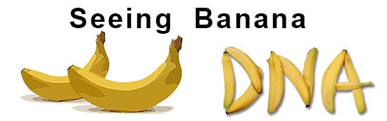 question mark clip art banana