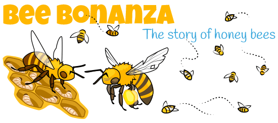 Bee Bonanza: The Story of Bees