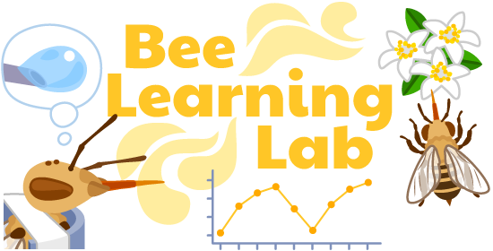 Bee learning lab illustration
