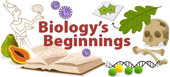 the-history-of-biology-ask-a-biologist