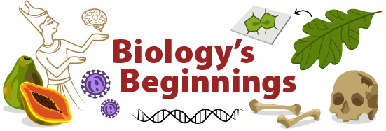 Biology's Beginnings 