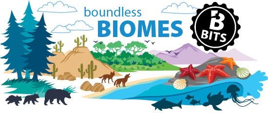 tundra biome clipart