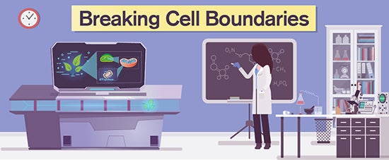 An image of a female scientist working in a lab, researching photosynthesis, with the title "Breaking Cell Boundaries" at the top of the image