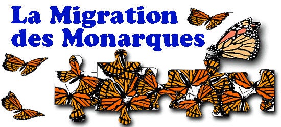 Migration des Monarques