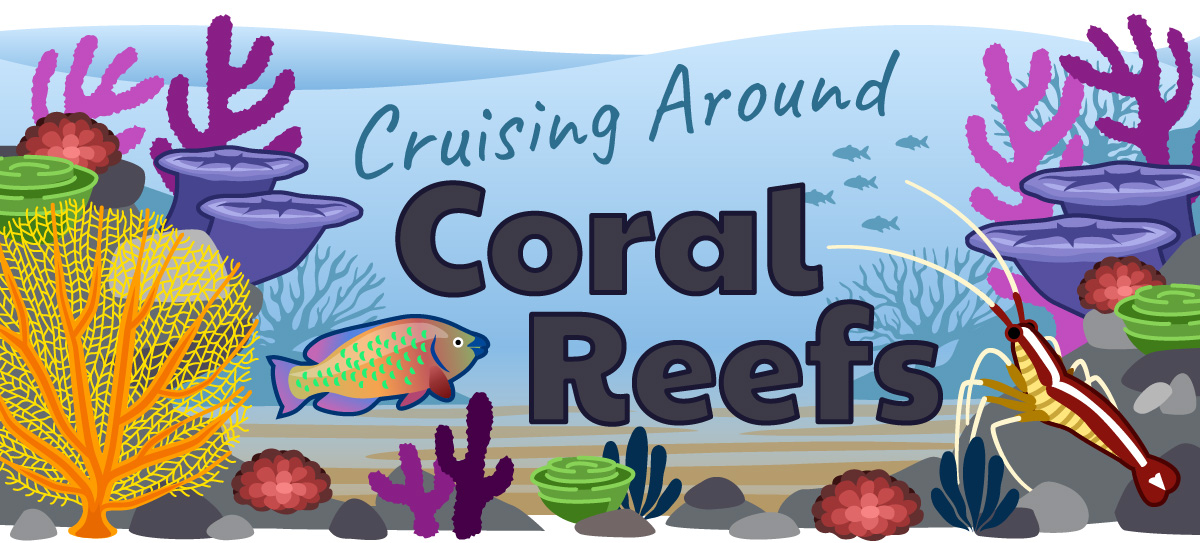 An illustration of a coral reef with corals, sea fans, and more, around the text Cruising Around Coral Reefs