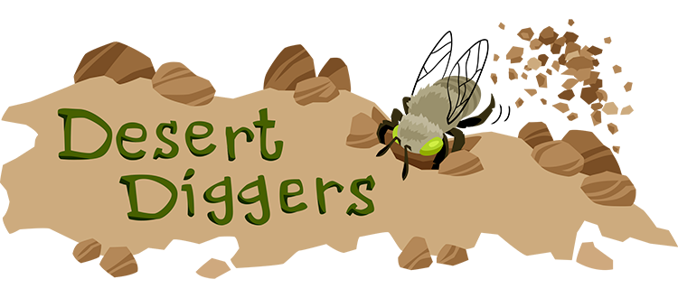 Digger Bees  Ask A Biologist