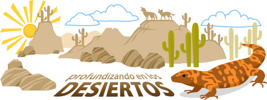 Profundizando en los Desiertos