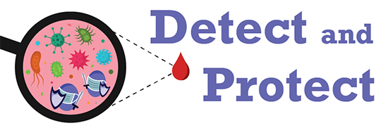 Studying immunology - Detect and Protect, an image of zooming in on a drop of blood to see the cells and viruses inside.