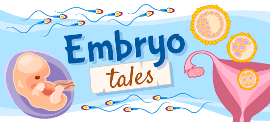 An illustration of an embryo, uterus, follicles and sperm with the title "Embryo Tales"