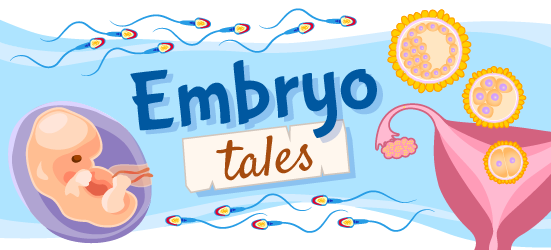 An illustration reading "embryo tales," that was created for stories about embryology