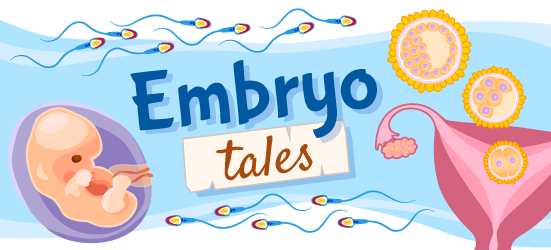 An illustration for "embryo tales," which are stories about embryology; the illustration shows an embryo, a uterus, follicles, and sperm