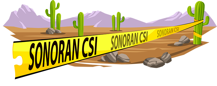 sonoran desert animals food chain