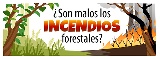 una ilustración de un incendio forestal con el texto "¿Son malos los incendios forestales?"