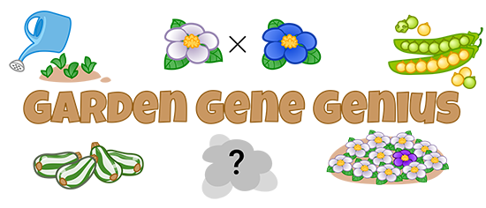 Garden Gene Genius genetics game illustration with flowers, peas, squash, and a watering can surrounding the text "Garden Gene Genius"