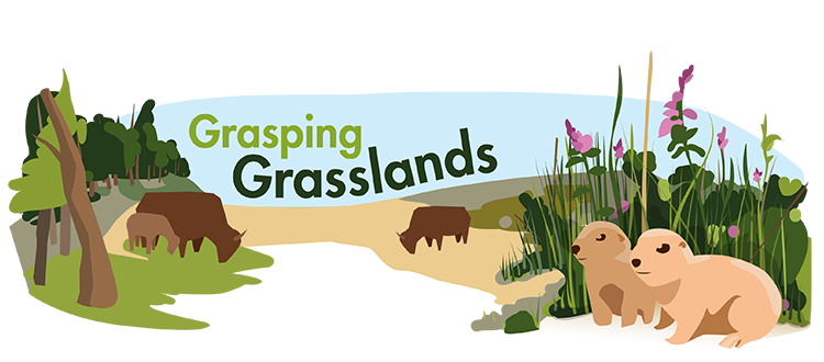 Grassland Biome | Ask A Biologist