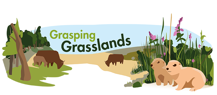 grasslands plants