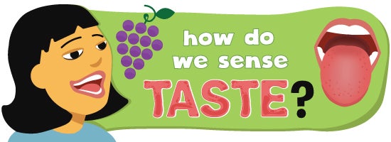 sense of taste pictures