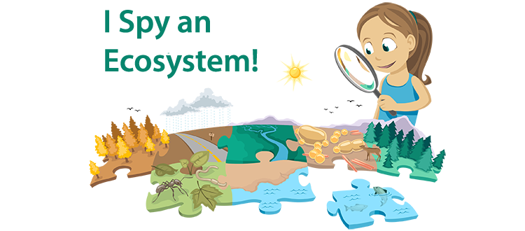 examples of ecosystems for kids