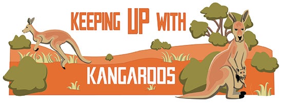 Keeping up with kangaroos