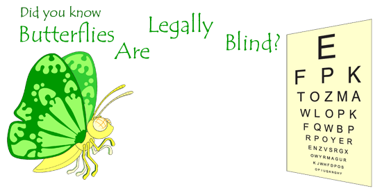 Butterflies Are Legally Blind
