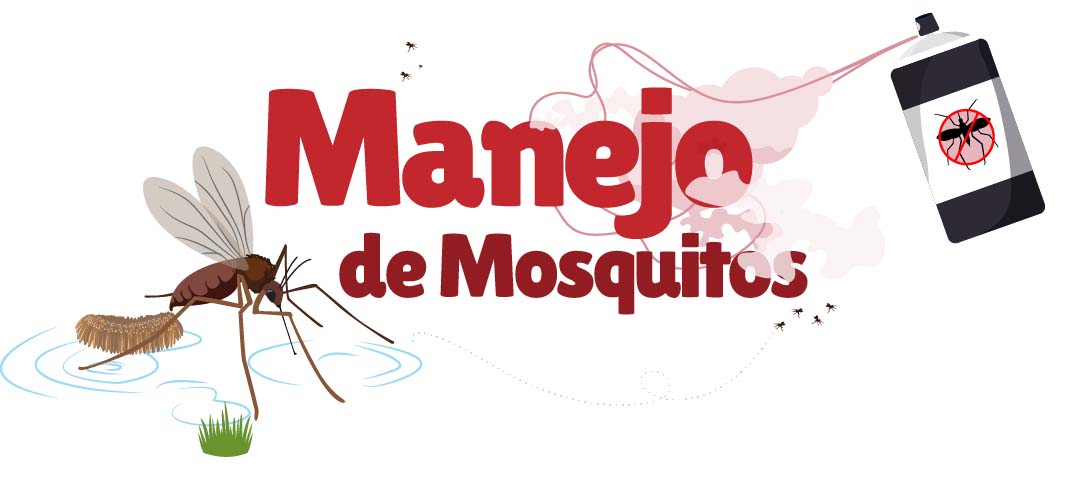 Una ilustración de un mosquito junto al título "manejo de mosquitos", con repelente de mosquitos 