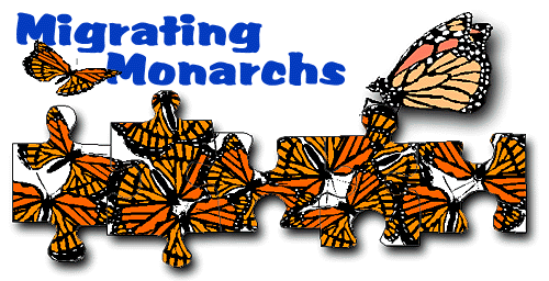 The Great Monarch Butterfly Migration Explained