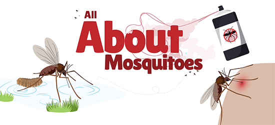 Mosquito life cycle, diseases they carry, and how to fight them - image is an illustration with the title "All About Mosquitoes" that shows a mosquito laying eggs, another biting someone, and insecticide being sprayed.